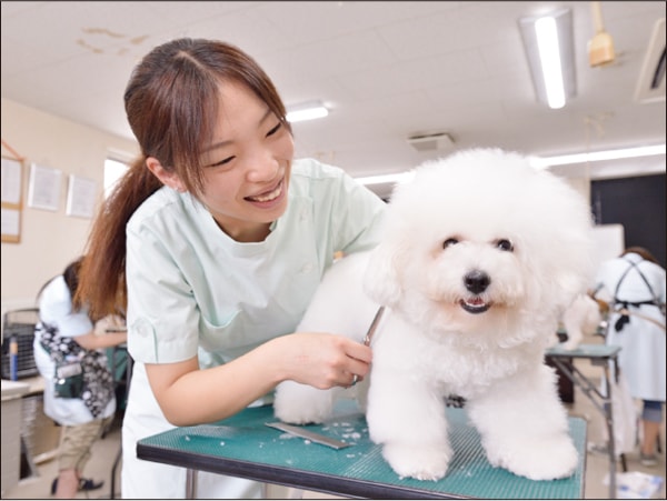 ペット業界への就職を支援